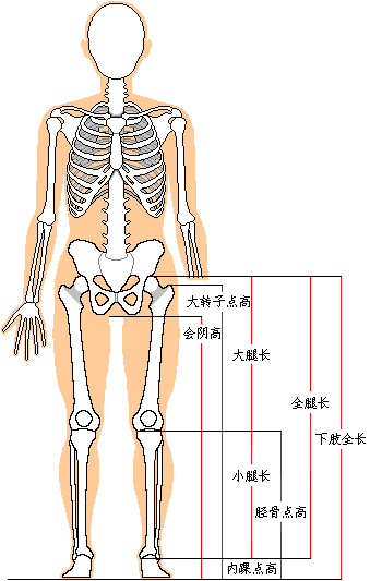 万博