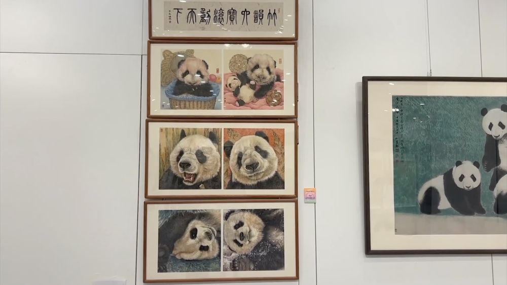 万博